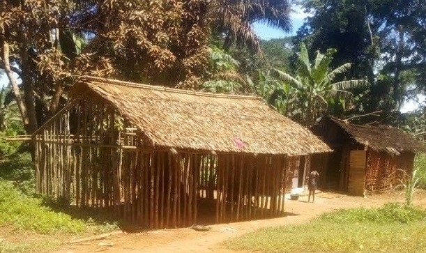 Typical traditional Baka house