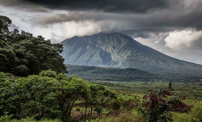 Virunga National Park