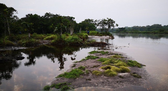 Salonga National Park