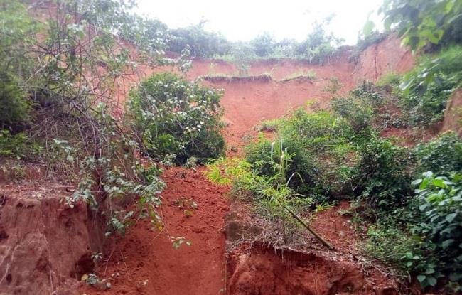 Gully erosion