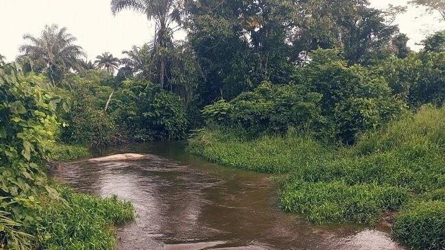 Ufara River