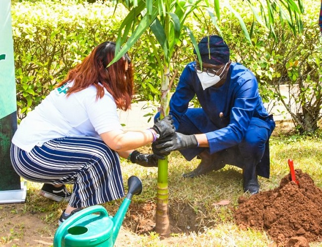 Lagos tree planting