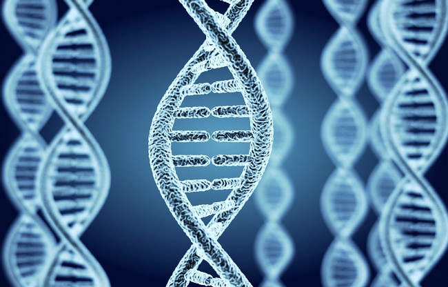 Microbial Gene Catalogue