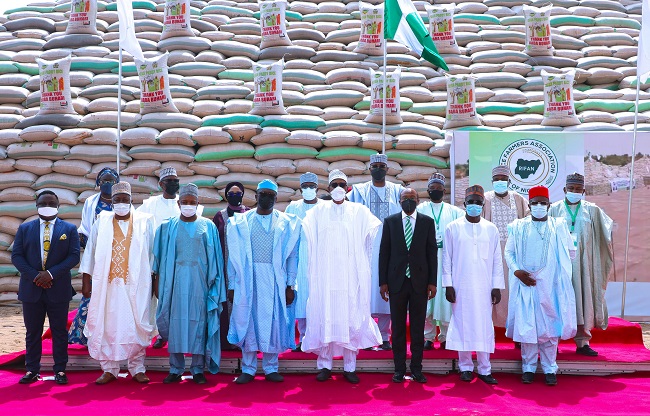 Rice pyramids