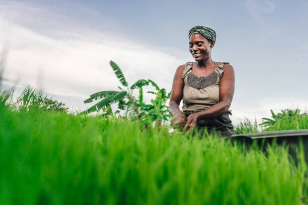 Female farmer