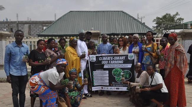 Climate Smart Ugu Farming