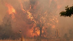 Spain wildfires