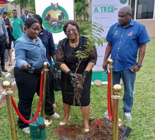 Lagos tree planting