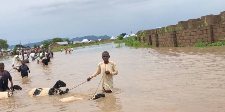 Flooded community