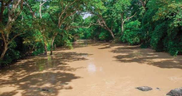 Osun River