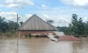 Flooding in Bayelsa