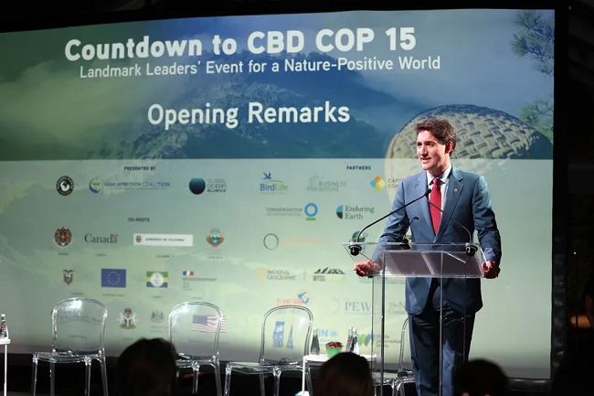 CBD COP15