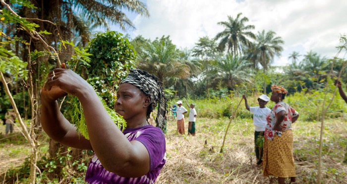 Women in agriculture