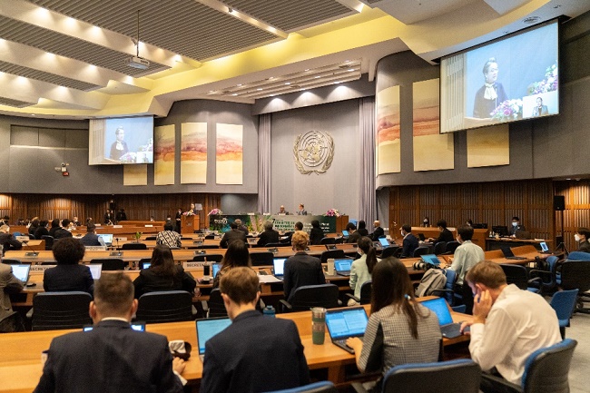 Committee on Environment and Development