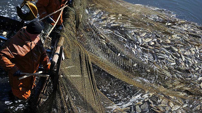 High seas fishing