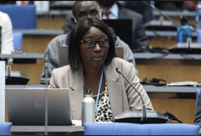 COP28 outcome reflects lowest possible ambition acceptable – Least Developed Countries