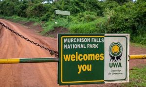 Murchison Falls National Park