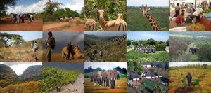 Biodiversity conservation