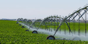 First Agriculture Adaptation Conference