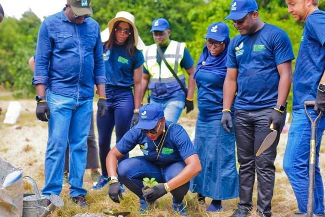 NCF plants 276,860 trees in 2023