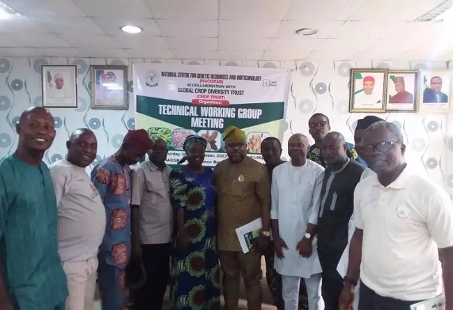 Nigeria will soon witness food sufficiency, price reduction – NACGRAB