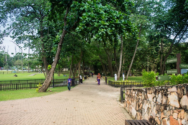 Agodi Garden: Haven for biodiversity in Ibadan