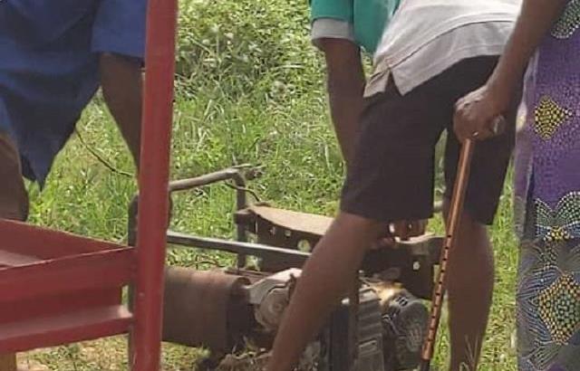 Govts charged with policies for waste conversion into animal feeds, energy