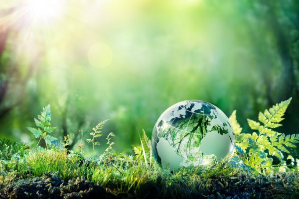 Towards sustainability: Looking ahead to environmental moments in 2024