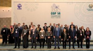 CMS COP14