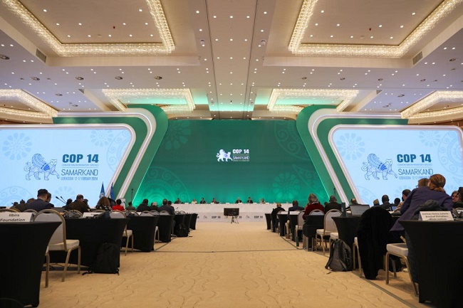 COP14: UN summit concludes with set of actions to conserve migratory species