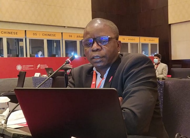 Africa will be next continent for mercury-free dentistry, say NGO leaders