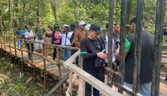 2023: NCF planted over 2,000 trees in Lagos – Official