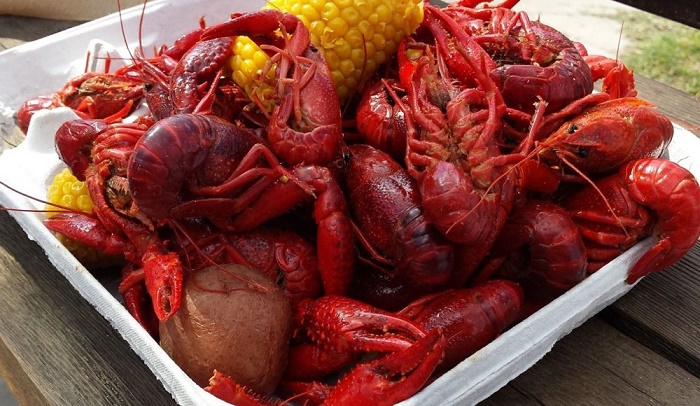 Crawfish could transfer ionic lithium from their environment into food chain – Study