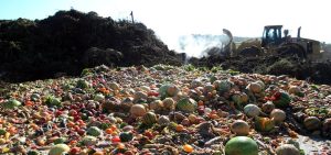 Fruit waste