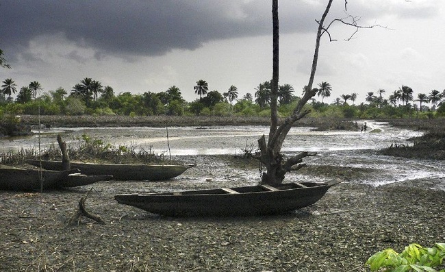 World Press Freedom Day: Group highlights environmental injustice cases in Rivers