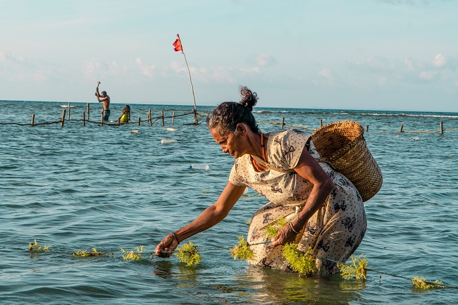New $135m initiative will support SIDS to tackle drivers of environmental degradation