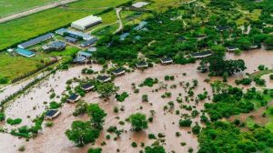 Masai Mara flood