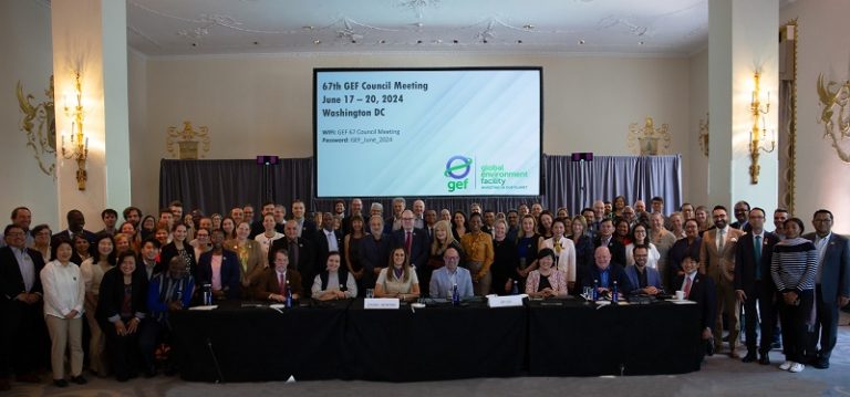 GEF approves over $700m to support Great Green Wall, cities, climate resilience