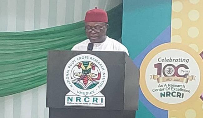 World Environment Day: Onuigbo urges engagement in eco-friendly practices for sustainable future