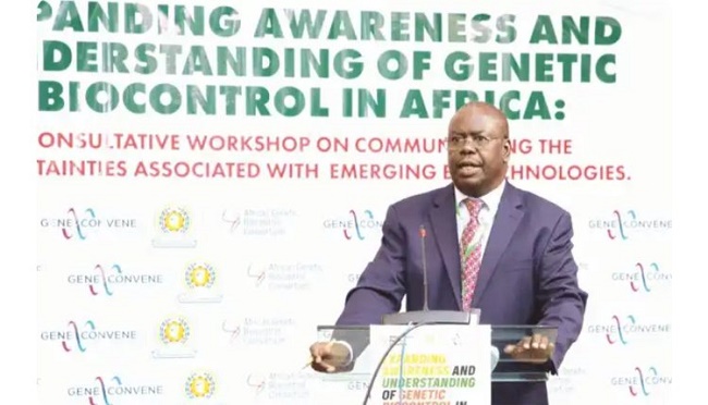 World Mosquito Day: Scientists to introduce technology to modify mosquitoes