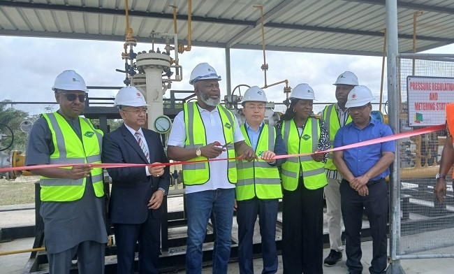 NGML-NIPCO Gas JV inaugurates gas project at Lekki Free Zone