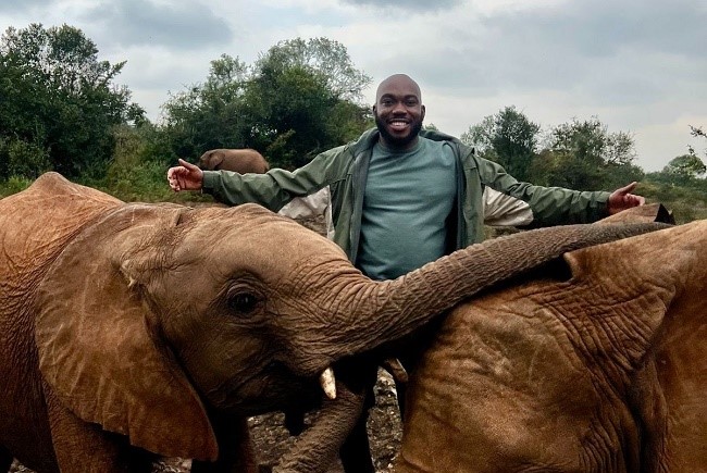National Elephant Action Plan a step forward in ensuring survival of elephants – Linus Unah