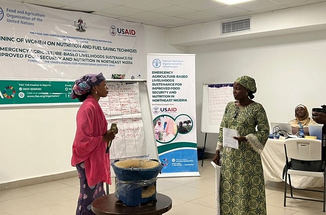 Energy-efficient stoves cut fuel use by 50%, says FAO