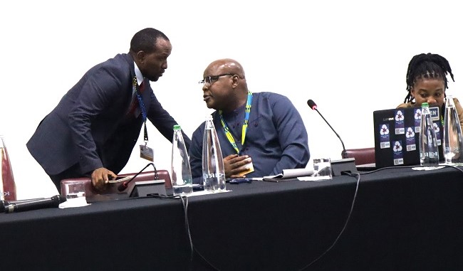 PAVE participates in UNEP Regional Consultative Meeting in advance of AMCEN