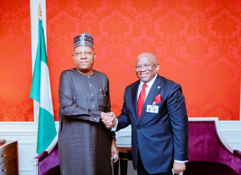 UNGA: Nigeria strengthens partnership with African Caribbean, Pacific States