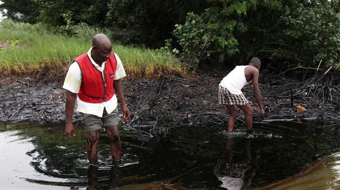 Fish, food scarcity loom in Niger Delta, warn environmentalists