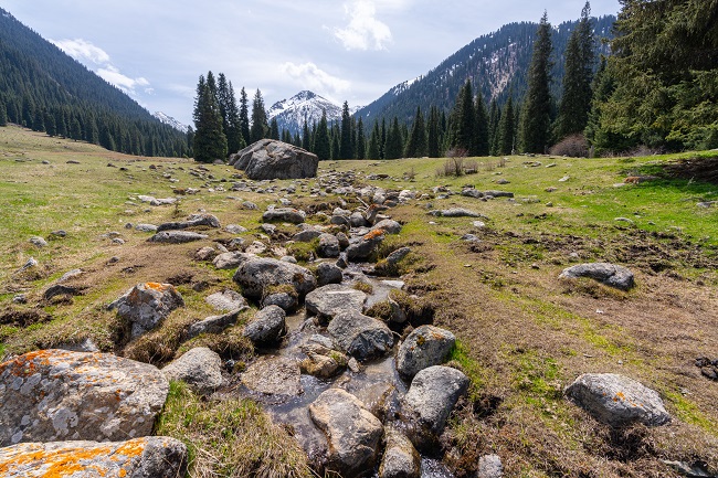 Kyrgyz Republic unveils 800,000-hectare ecological corridor for biodiversity