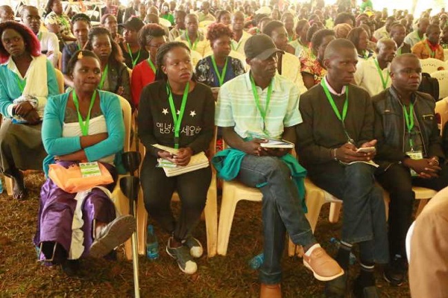 COP30: Kenyan youth commit to forest conservation, green economy