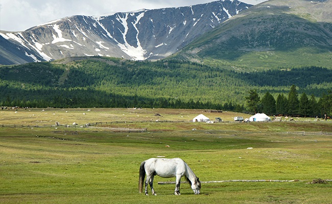 Mongolia
