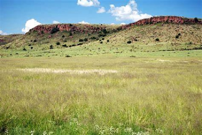 Govt, partners urged to act on rangeland conservation